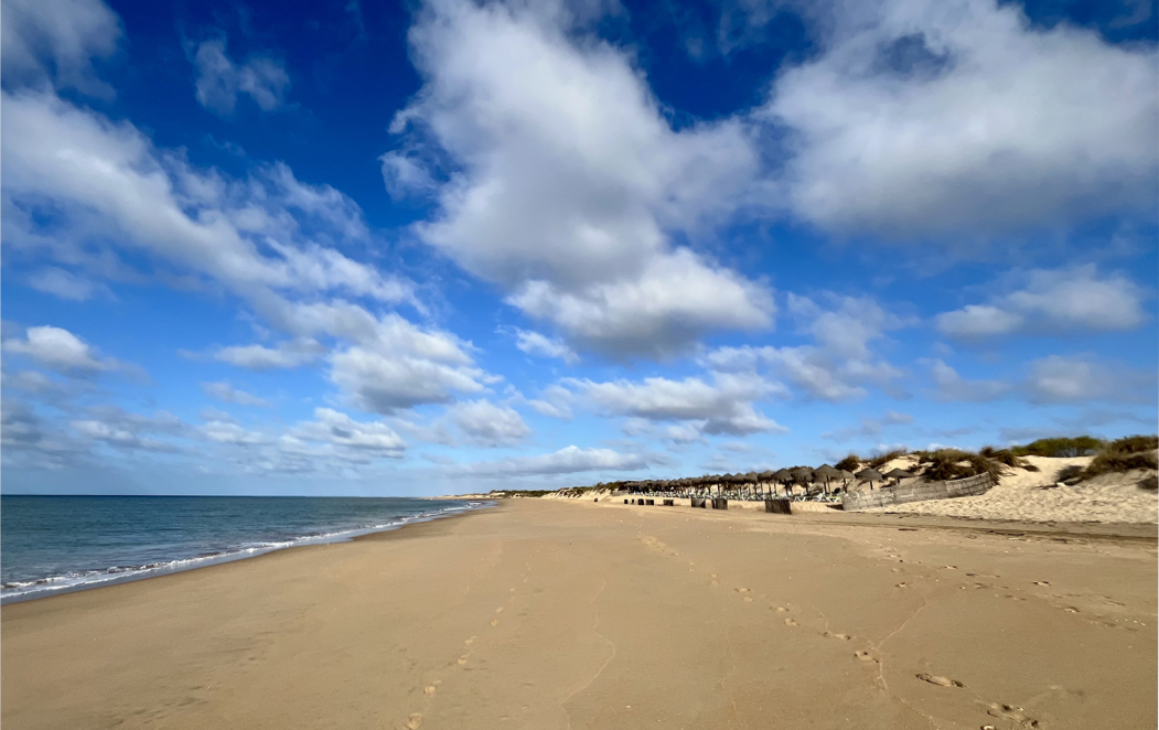 La Flecha del Rompido