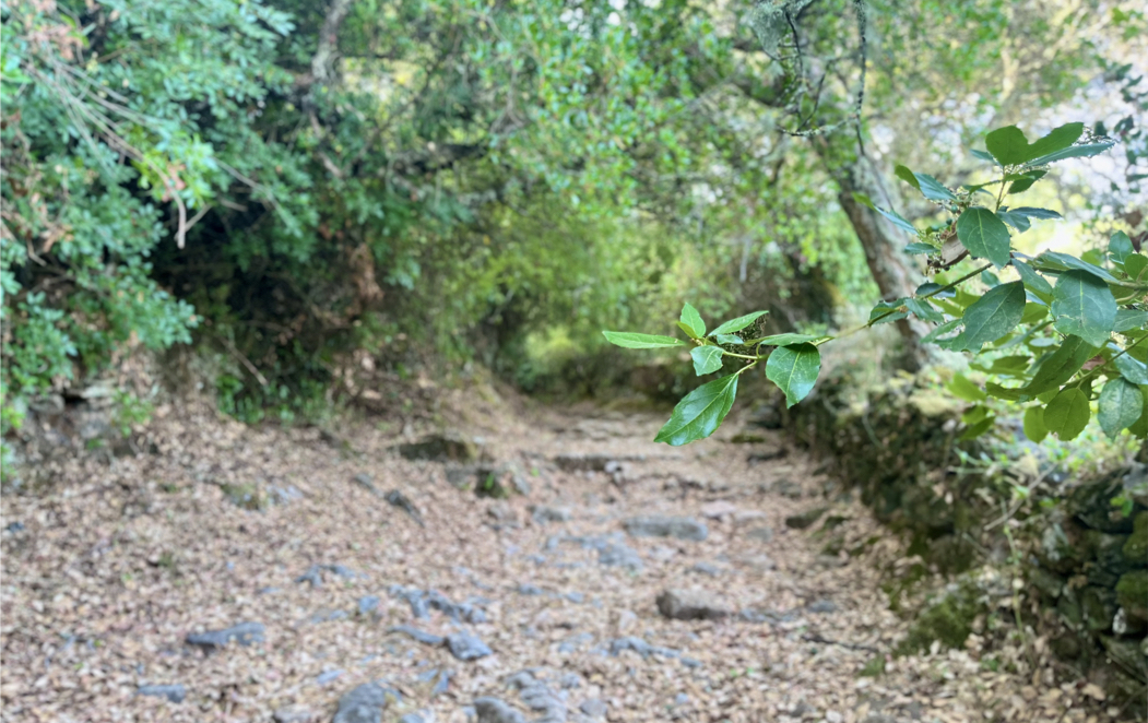 Los molinos y La alameda